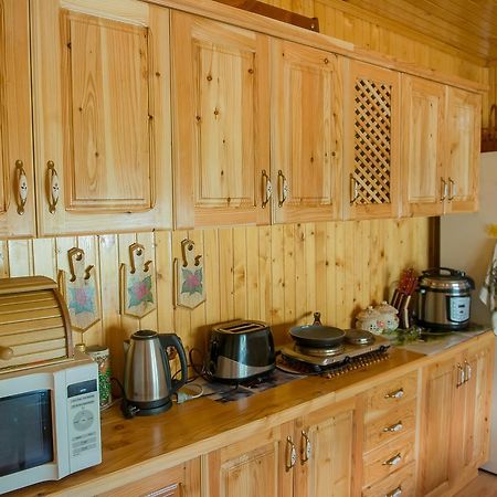 Guest House Suzirya Karpat Jaremcze Zewnętrze zdjęcie