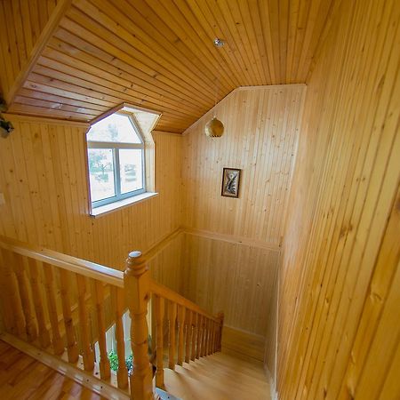 Guest House Suzirya Karpat Jaremcze Zewnętrze zdjęcie